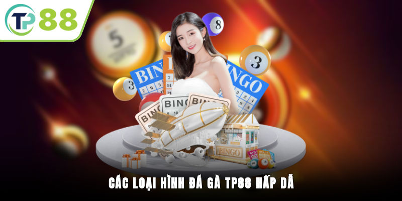 Các loại hình Đá gà TP88 hấp dẫn