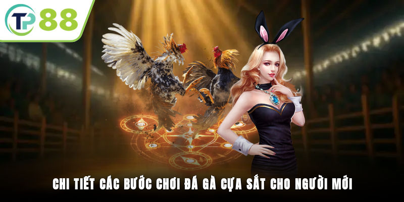 Chi tiết các bước chơi đá gà cựa sắt cho người mới