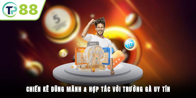 Chiến kê dũng mãnh &amp; hợp tác với trường gà uy tín