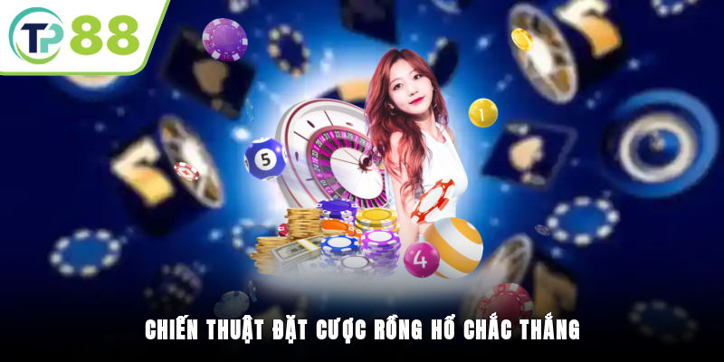Chiến thuật đặt cược Rồng Hổ chắc thắng
