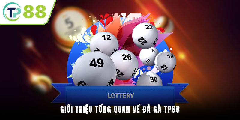 Giới thiệu tổng quan về Đá gà TP88