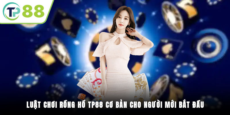 Luật chơi Rồng Hổ TP88 cơ bản cho người mới bắt đầu