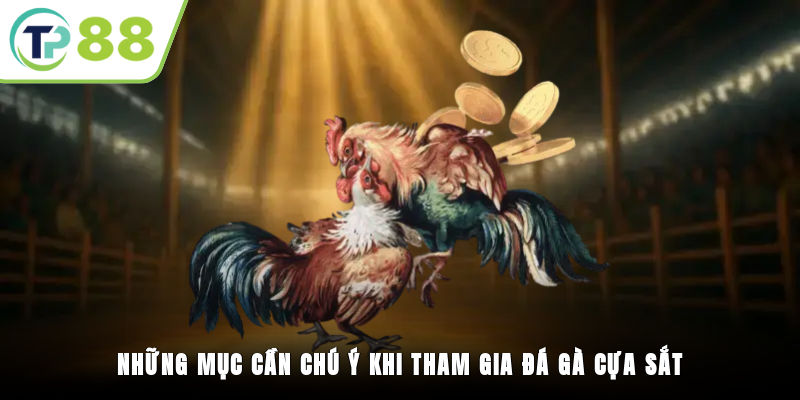 Những mục cần chú ý khi tham gia đá gà cựa sắt