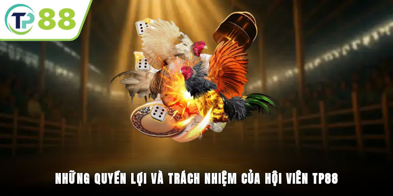 Những quyền lợi và trách nhiệm của hội viên TP88