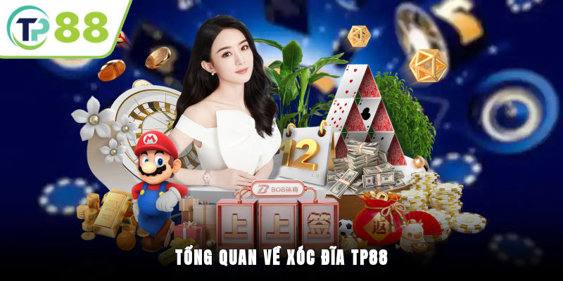 Tổng quan về xóc đĩa TP88